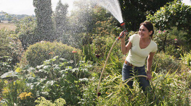 4 healthy habits from the garden: