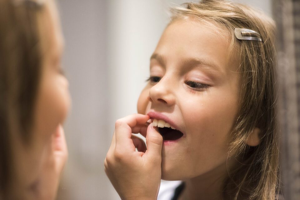 The Tooth Fairy hovers silently, fluttering down to collect lost teeth from beneath the pillows of sleeping children. In place of the tooth, she leaves a treasure from her basket for the child to find in the morning. Check out this blog to see the importance of the Tooth Fairy!