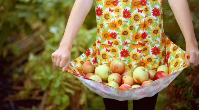 Eating apples with braces can cause serious damage to braces, specifically incisor brackets. Check out these tips to enjoy your apples without causing damage to braces.